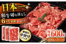 【6回定期便】長崎和牛 切り落とし 600g/月（総計3.6kg） / 牛肉 切り落とし 切りおとし きりおとし すき焼き 小分け / 大村市 / おおむら夢ファームシュシュ [ACAA223]