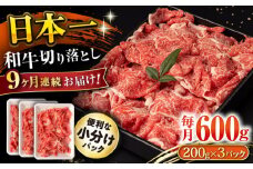 【9回定期便】長崎和牛 切り落とし 600g/月（総計5.4kg） / 牛肉 切り落とし 切りおとし きりおとし すき焼き 小分け / 大村市 / おおむら夢ファームシュシュ [ACAA224]