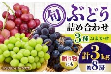 【先行受付】8月下旬より順次発送 旬のブドウ　3種詰め合わせ　約3kg　箱入り / ぶどう シャインマスカット しゃいんますかっと  フルーツ ふるーつ 果物 / 大村市 / 大又農園 [ACZO004]