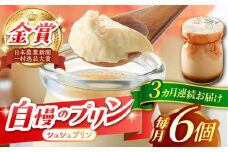【3回定期便】シュシュプリン 6個/月（計18個）/ プリン スイーツ ミルク ジャージ―牛乳 / 大村市 / おおむら夢ファームシュシュ [ACAA300]