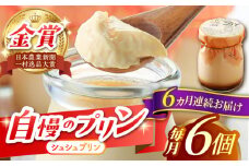 【6回定期便】シュシュプリン 6個/月（計36個）/ プリン スイーツ ミルク ジャージ―牛乳 / 大村市 / おおむら夢ファームシュシュ [ACAA301]