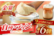 【9回定期便】シュシュプリン 6個/月（計54個）/ プリン スイーツ ミルク ジャージ―牛乳 / 大村市 / おおむら夢ファームシュシュ [ACAA302]