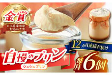 【12回定期便】シュシュプリン 6個/月（計72個）/ プリン スイーツ ミルク ジャージ―牛乳 / 大村市 / おおむら夢ファームシュシュ [ACAA303]