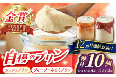 【12回定期便】シュシュプリンとジャージーみるくプリンセット 10個/月（計120個）/ プリン スイーツ ミルク ジャージ―牛乳 /  大村市 / おおむら夢ファームシュシュ [ACAA323]