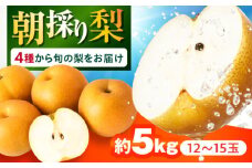 【2025年9月～発送】長崎県産 朝採り旬の梨 約5kg 12玉～15玉 / 梨 ナシ なし フルーツ 果物 / 大村市 / 産直松吉 [ACZC007]