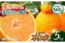 【2026年3月中旬より順次発送予定】不知火 5kg　/ しらぬい みかん 果実 柑橘 / 大村市 / おおむら夢ファームシュシュ [ACAA299]