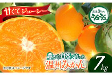 【2024年11月上旬より順次発送】みかん 7kg　/ みかん 果実 柑橘 / 大村市 / おおむら夢ファームシュシュ [ACAA378]