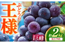 【先行予約：2025年8月中旬より順次発送予定】 巨峰 種あり 約2kg / ぶどう 葡萄 フルーツ / 大村市 / おおむら夢ファームシュシュ [ACAA380]