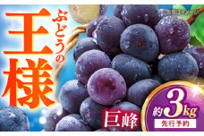 【先行予約：2025年8月中旬より順次発送予定】 巨峰 種あり 約3kg / ぶどう 葡萄 フルーツ / 大村市 / おおむら夢ファームシュシュ [ACAA381]