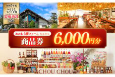 おおむら夢ファームシュシュ 商品券 6,000円 / お買い物券 利用券 お食事券 / 大村市 / おおむら夢ファームシュシュ [ACAA383]