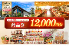 おおむら夢ファームシュシュ 商品券 12,000円 / お買い物券 利用券 お食事券 / 大村市 / おおむら夢ファームシュシュ [ACAA385]