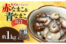 長崎県大村市産 なまこ 約1kg / なまこ 珍味 おつまみ / 大村市 / 産直松吉 [ACZC008]