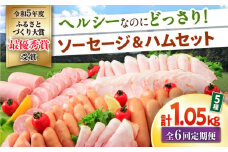 【6回定期便】ナルちゃんファーム ハムセット1.05kg sp / ウインナー ハム 食べ比べ 詰め合わせ / 大村市 / おおむら夢ファームシュシュ [ACAA348]