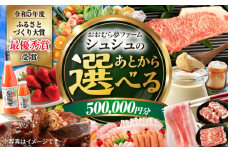 【あとから選べる】 おおむら夢ファームシュシュ ふるさとギフト50万円分 [ACAA393]