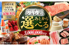 【あとから選べる】 おおむら夢ファームシュシュ ふるさとギフト300万円分 [ACAA396]