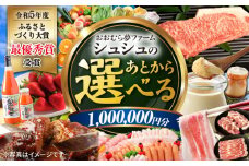 【あとから選べる】 おおむら夢ファームシュシュ ふるさとギフト100万円分 [ACAA394]