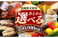 【あとから選べる】大村市ふるさとギフト25万円分 あとからセレクト 寄附後に選べる 後日選択 ゆっくり選べる あとから寄附 あとからギフト あとからセレクト あとから選べる [ACBI013]
