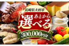 【あとから選べる】大村市ふるさとギフト30万円分 あとからセレクト 寄附後に選べる 後日選択 ゆっくり選べる あとから寄附 あとからギフト あとからセレクト あとから選べる [ACBI014]