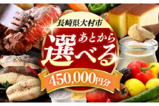 【あとから選べる】大村市ふるさとギフト45万円分 あとからセレクト 寄附後に選べる 後日選択 ゆっくり選べる あとから寄附 あとからギフト あとからセレクト あとから選べる [ACBI017]