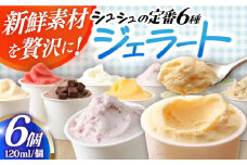 シュシュ 定番ジェラート6個セット / アイス アイスクリーム ジェラート スイーツ /  大村市 / おおむら夢ファームシュシュ [ACAA405]