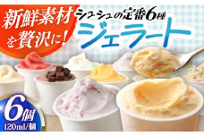 シュシュ 定番ジェラート6個セット / アイス アイスクリーム ジェラート スイーツ /  大村市 / おおむら夢ファームシュシュ [ACAA405]