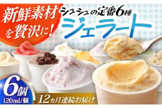 【12回定期便】シュシュ 定番ジェラート6個セット / アイス アイスクリーム ジェラート スイーツ /  大村市 / おおむら夢ファームシュシュ [ACAA408]