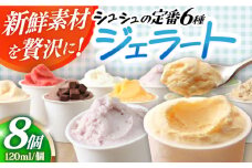 シュシュ 定番ジェラート8個セット / アイス アイスクリーム ジェラート スイーツ /  大村市 / おおむら夢ファームシュシュ [ACAA409]