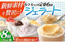 【6回定期便】シュシュ 定番ジェラート8個セット / アイス アイスクリーム ジェラート スイーツ /  大村市 / おおむら夢ファームシュシュ [ACAA411]