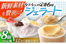 【12回定期便】シュシュ 定番ジェラート8個セット / アイス アイスクリーム ジェラート スイーツ /  大村市 / おおむら夢ファームシュシュ [ACAA412]