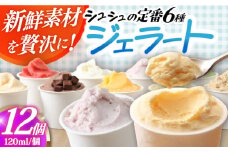 シュシュ 定番ジェラート12個セット / アイス アイスクリーム ジェラート スイーツ /  大村市 / おおむら夢ファームシュシュ [ACAA413]