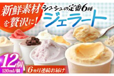 【6回定期便】シュシュ 定番ジェラート12個セット / アイス アイスクリーム ジェラート スイーツ /  大村市 / おおむら夢ファームシュシュ [ACAA415]