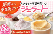 【6回定期便】シュシュ 季節のジェラート8個セット / アイス アイスクリーム ジェラート スイーツ /  大村市 / おおむら夢ファームシュシュ [ACAA418]