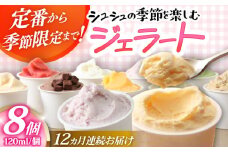 【12回定期便】シュシュ 季節のジェラート8個セット / アイス アイスクリーム ジェラート スイーツ /  大村市 / おおむら夢ファームシュシュ [ACAA419]