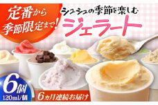【6回定期便】シュシュ 季節のジェラート6個セット  / アイス アイスクリーム ジェラート スイーツ / 大村市 / おおむら夢ファームシュシュ [ACAA425]