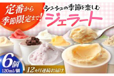 【12回定期便】シュシュ 季節のジェラート6個セット  / アイス アイスクリーム ジェラート スイーツ / 大村市 / おおむら夢ファームシュシュ [ACAA426]
