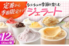 シュシュ 季節のジェラート12個セット  / アイス アイスクリーム ジェラート スイーツ / 大村市 / おおむら夢ファームシュシュ [ACAA427]