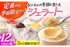 【3回定期便】シュシュ 季節のジェラート12個セット  / アイス アイスクリーム ジェラート スイーツ / 大村市 / おおむら夢ファームシュシュ [ACAA428]