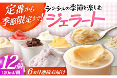 【6回定期便】シュシュ 季節のジェラート12個セット  / アイス アイスクリーム ジェラート スイーツ / 大村市 / おおむら夢ファームシュシュ [ACAA429]