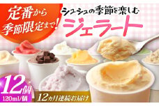 【12回定期便】シュシュ 季節のジェラート12個セット  / アイス アイスクリーム ジェラート スイーツ / 大村市 / おおむら夢ファームシュシュ [ACAA430]
