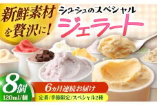 【6回定期便】シュシュのスペシャルジェラート8個セット（定番/季節限定/スペシャル2種） / アイス あいす アイスクリーム あいすくりーむ ジェラート じぇらーと スイーツ すいーつ / 大村市 / おおむら夢ファームシュシュ [ACAA437]