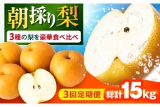 【3回定期便】 朝採り旬の梨 食べ比べ 約5kg/1回 梨定期便 フルーツ定期便 梨 ナシ なし フルーツ 果物 果物定期便 / 大村市 / 産直松吉 [ACZC010]