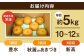 梨定期便 フルーツ定期便 梨 ナシ なし フルーツ 果物 果物定期便