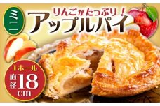 【到着日指定必須】ミニ アップルパイ 直径18cm 1ホール りんご パイ 洋菓子 スイーツ 大村市 大又農園野の実 [ACZO002]