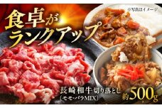 長崎和牛 切り落し（もも・バラMIX） 約500g / 切り落とし 切落し 牛 ブランド牛 和牛 / 大村市 / まるしん商会 [ACCD021]