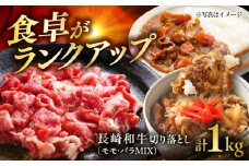 長崎和牛 切り落し（もも・バラMIX） 約500g×2P 計1kg / 切り落とし 切落し 牛 ブランド牛 和牛 / 大村市 / まるしん商会 [ACCD022]