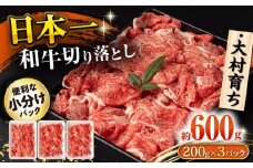 大村育ち 長崎和牛 切り落とし肉 600g / 牛肉 赤身 小分け すき焼き 煮込み/ 大村市 / おおむら夢ファームシュシュ [ACAA473]