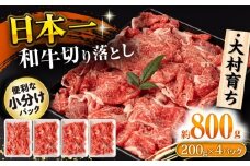 大村育ち 長崎和牛 切り落とし肉 800g / 牛肉 赤身 小分け すき焼き 煮込み/ 大村市 / おおむら夢ファームシュシュ [ACAA474]