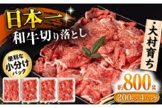 大村育ち 長崎和牛 切り落とし肉 800g / 牛肉 赤身 小分け すき焼き 煮込み/ 大村市 / おおむら夢ファームシュシュ [ACAA474]