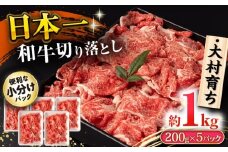 大村育ち 長崎和牛 切り落とし肉 1kg / 牛肉 赤身 小分け すき焼き 煮込み/ 大村市 / おおむら夢ファームシュシュ [ACAA475]