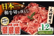 大村育ち 長崎和牛 切り落とし肉 1.2kg / 牛肉 赤身 小分け すき焼き 煮込み/ 大村市 / おおむら夢ファームシュシュ [ACAA476]